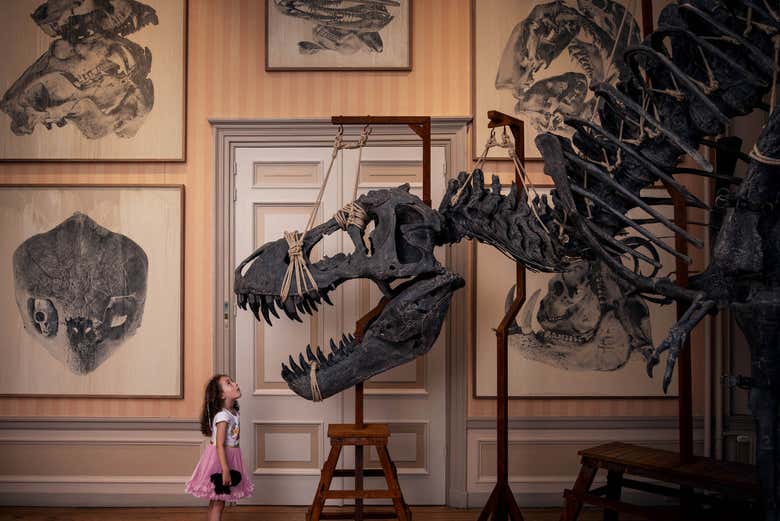 Entrada al Art Zoo Museum con audioguía