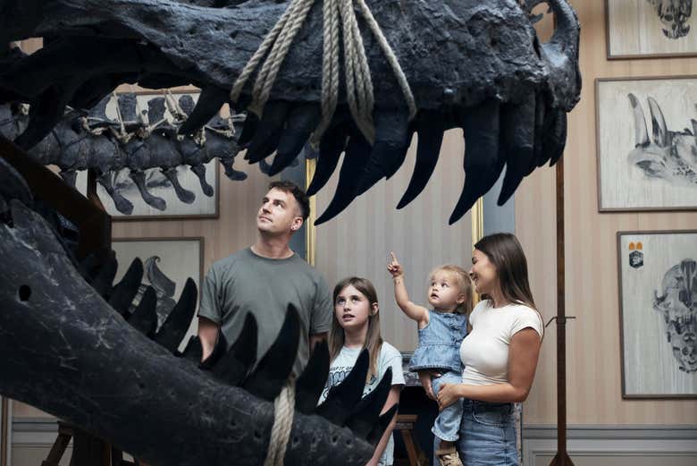 Entrada al Art Zoo Museum con audioguía