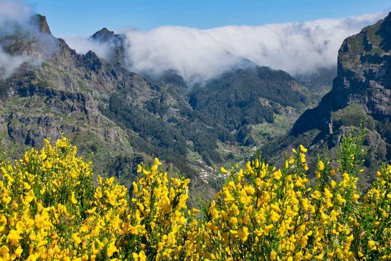 Excursión al Valle de las Monjas