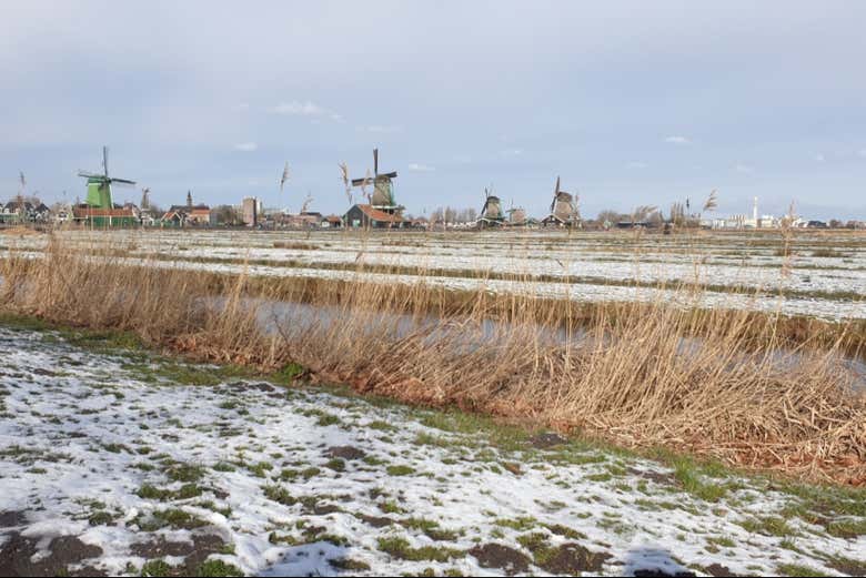 Excursión a Zaanse Schans y Giethoorn
