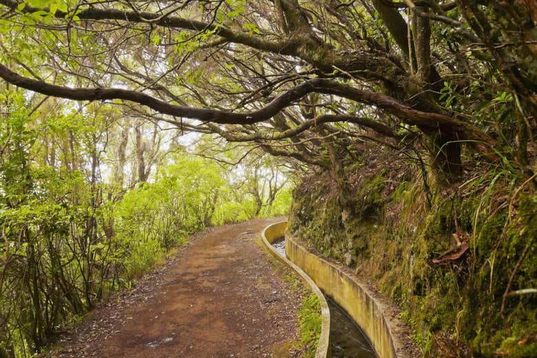 Senderismo por el este de Madeira