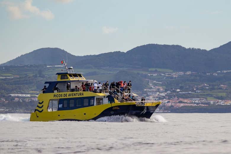 Paseo en barco con avistamiento de cetáceos