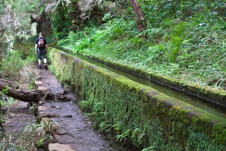 Trekking por Rabaçal y 25 fontes