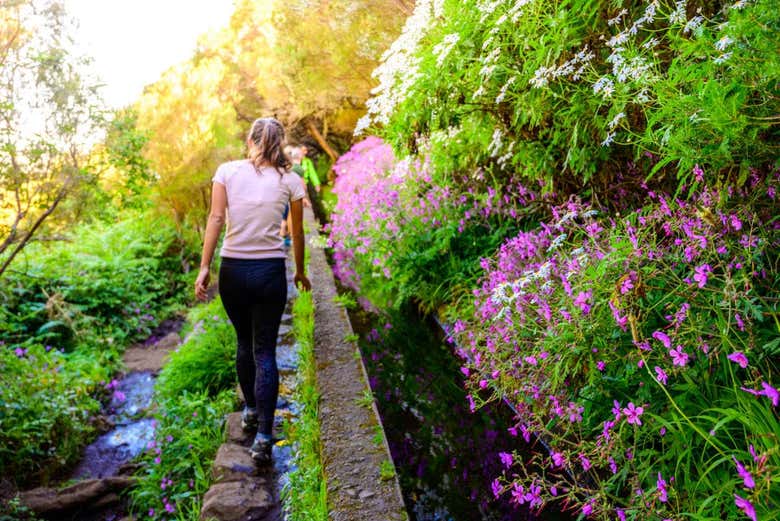 Trekking por Rabaçal y 25 fontes