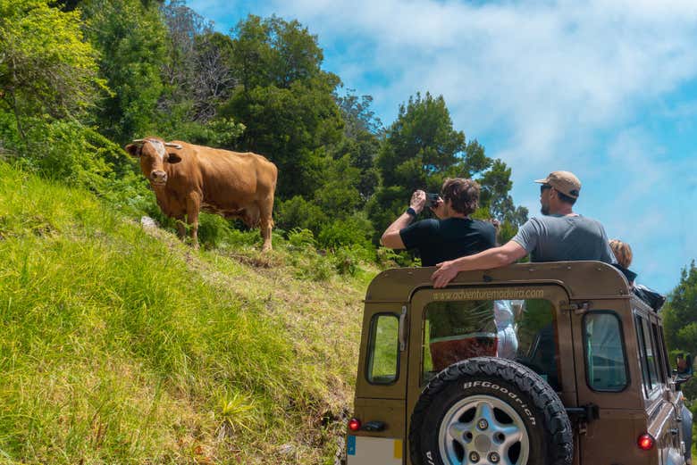 Excursión en 4x4 por el norte de Madeira + Piscinas de Porto Moniz