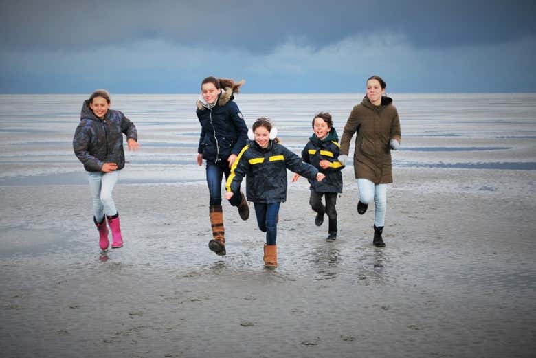 Crucero por el mar de Frisia con avistamiento de focas