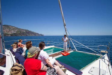Avistamiento de delfines y ballenas en catamarn
