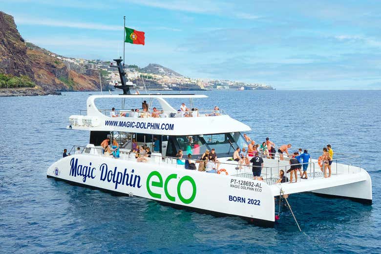 Avistamiento de delfines y ballenas en catamarán