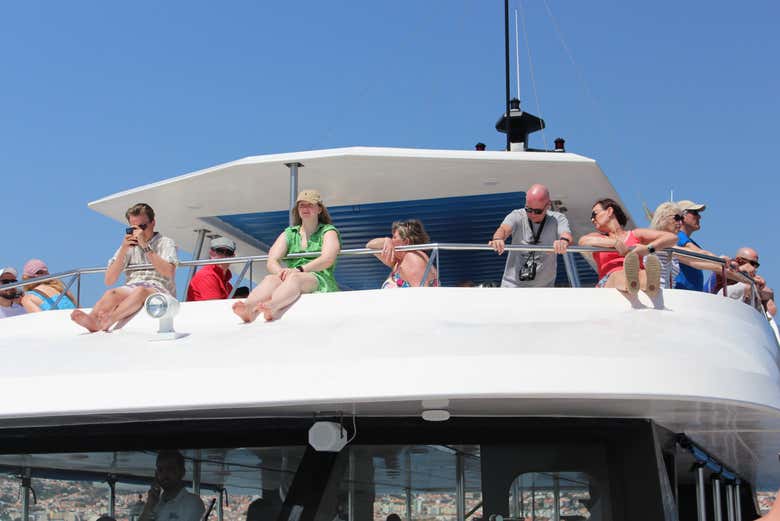 Avistamiento de delfines y ballenas en catamarán