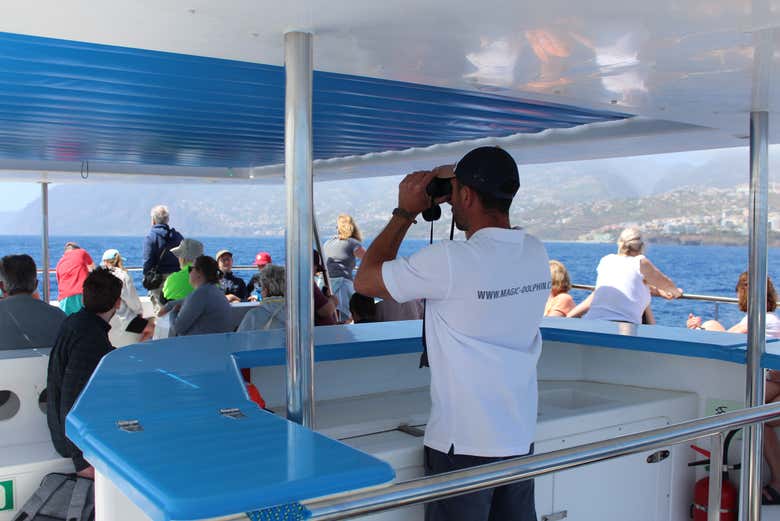 Avistamiento de delfines y ballenas en catamarán