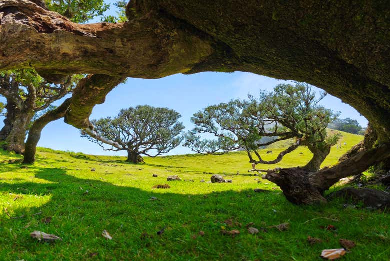 Excursión a las Terrazas Encantadas