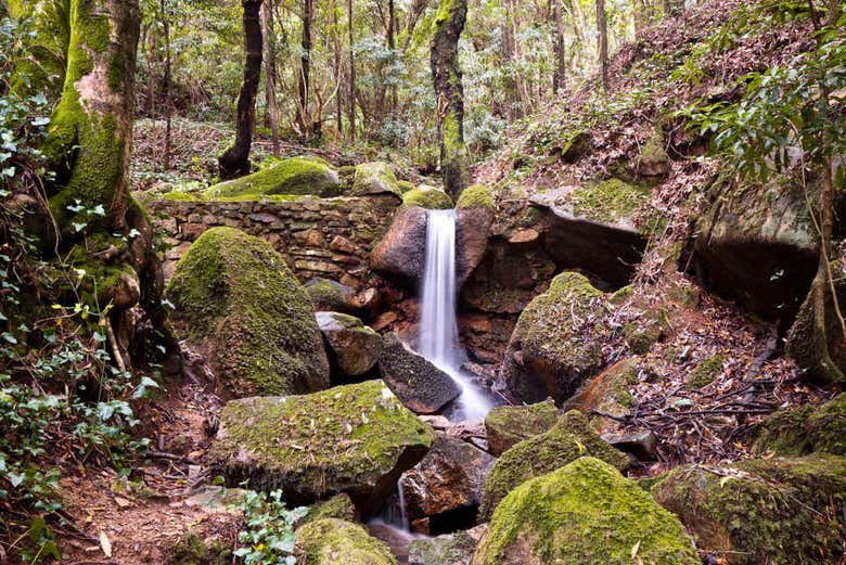 Tour en 4x4 por Sintra y su Parque Natural