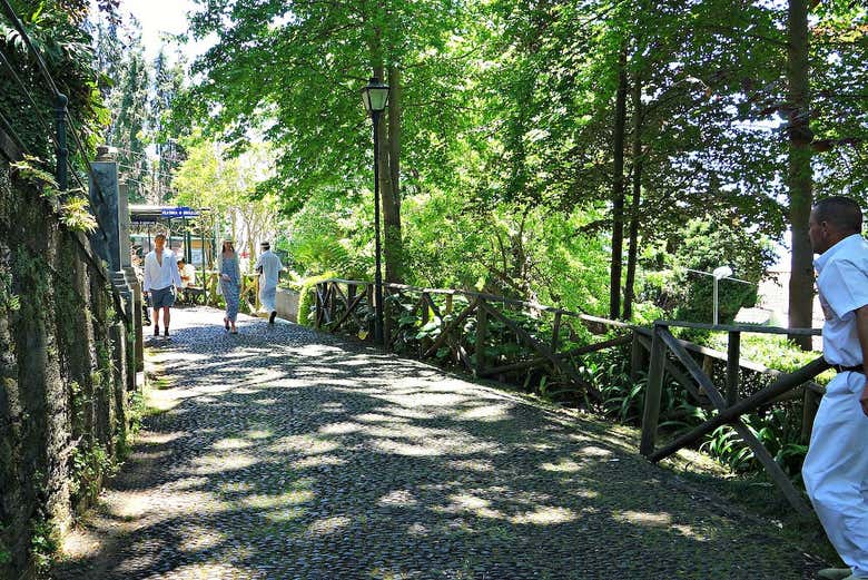Excursión a Curral das Freiras + Descenso en Cestas da Madeira
