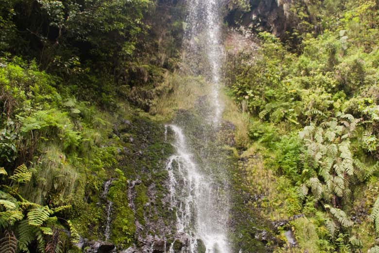 Senderismo por la levada Caldeirão Verde