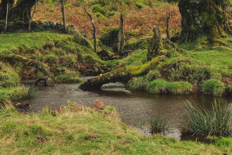 Senderismo por los lagos de Madeira