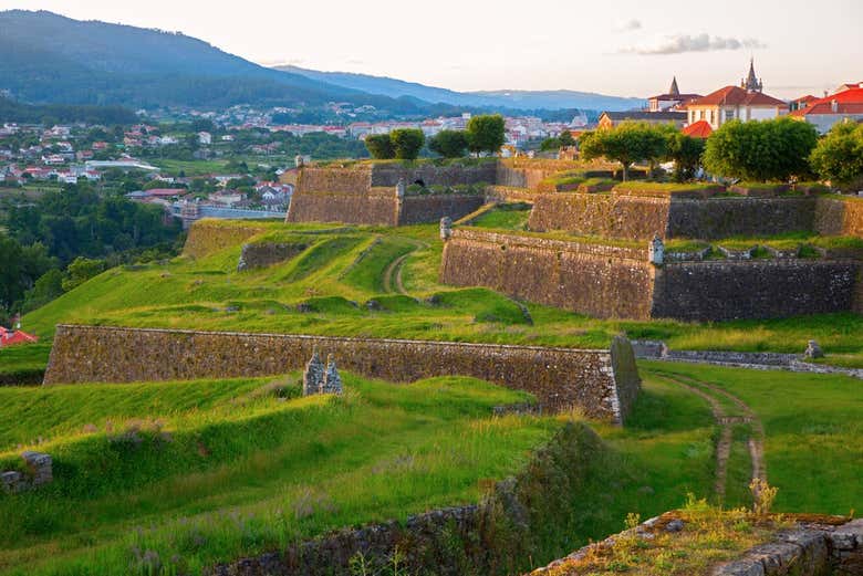 Excursión a Santiago de Compostela