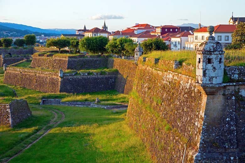 Excursión a Santiago de Compostela