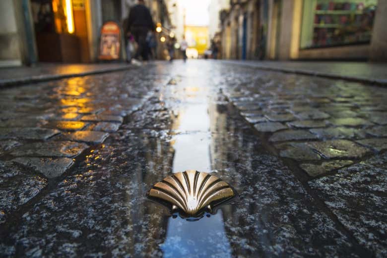 Excursión a Santiago de Compostela
