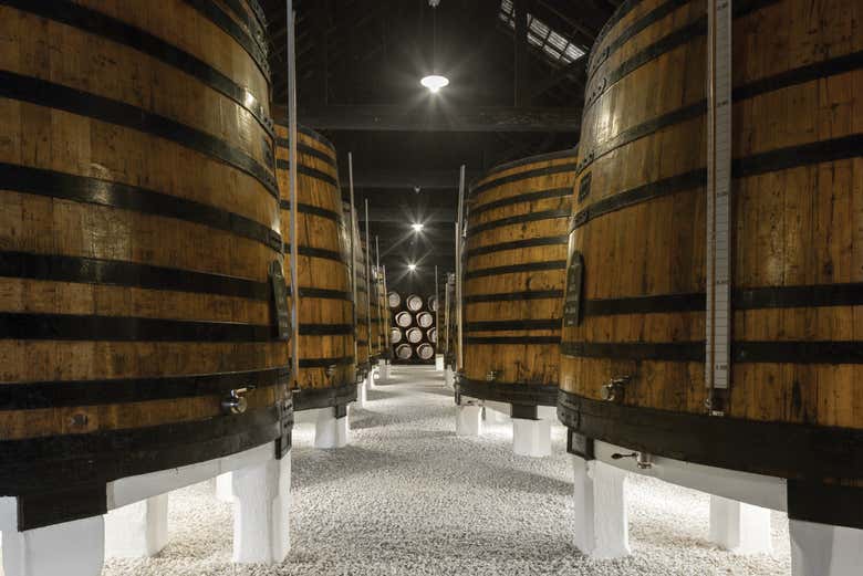 Visita a la bodega Graham's