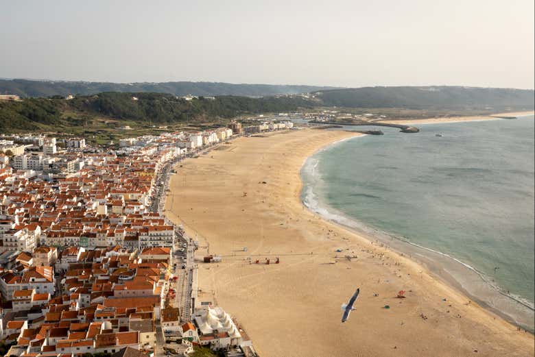 Excursión a Oporto, Nazaré y Óbidos