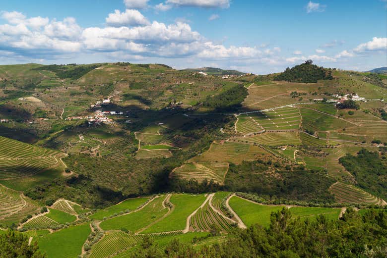 Tour por la región del Duero