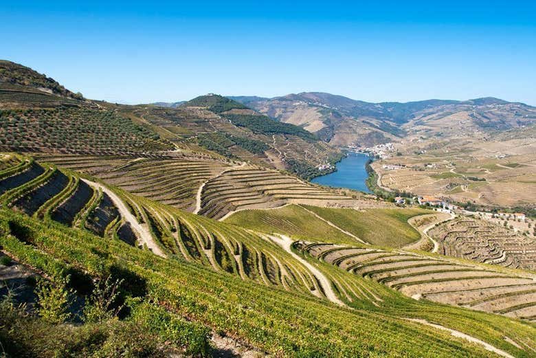 Tour por la región del Duero