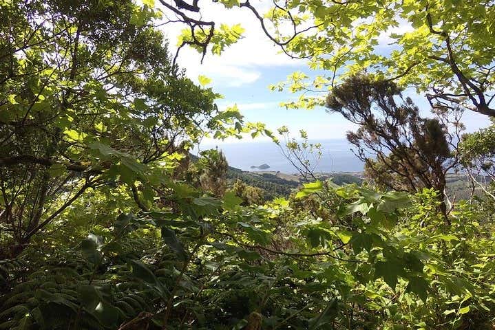 Senderismo por Lagoa do Fogo