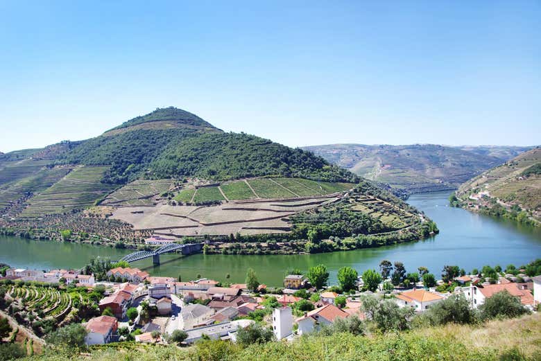 Tour de viñedos y bodegas por el Valle del Duero