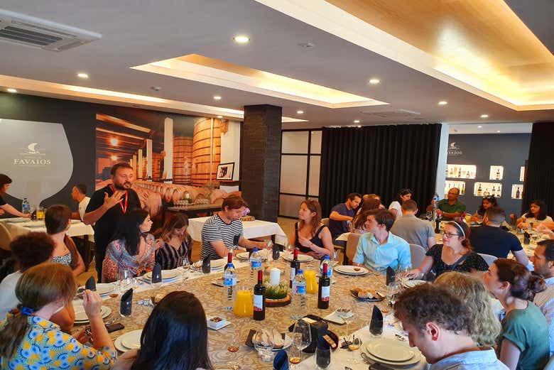 Tour de viñedos y bodegas por el Valle del Duero