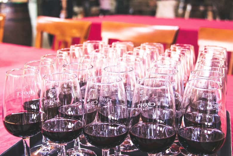 Tour de viñedos y bodegas por el Valle del Duero