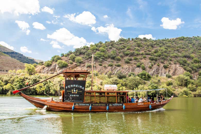 Tour de viñedos y bodegas por el Valle del Duero