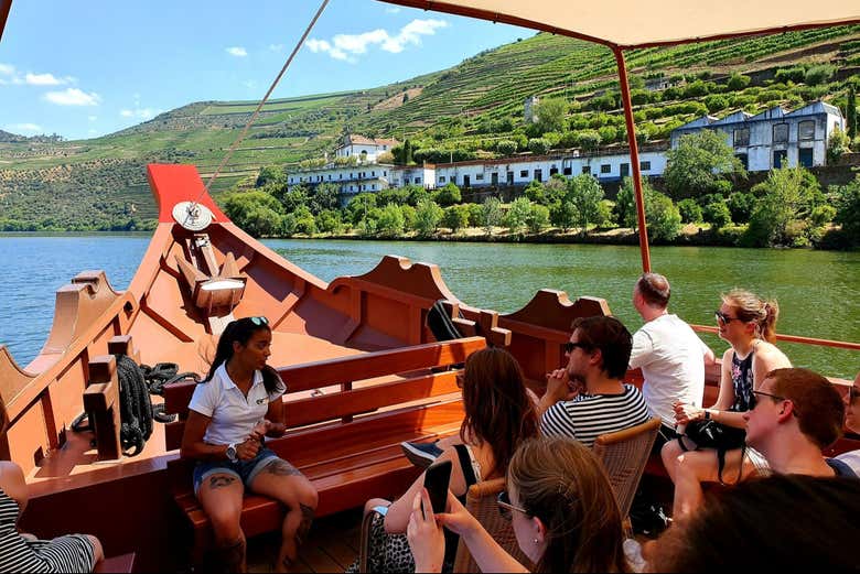 Tour de viñedos y bodegas por el Valle del Duero