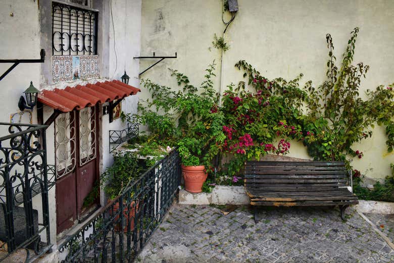 Free tour por el barrio de Alfama
