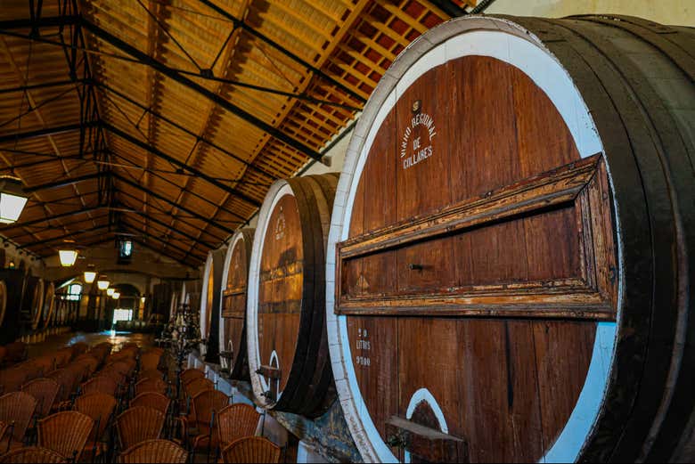 Excursión a Sintra y Cascais + Visita a una bodega