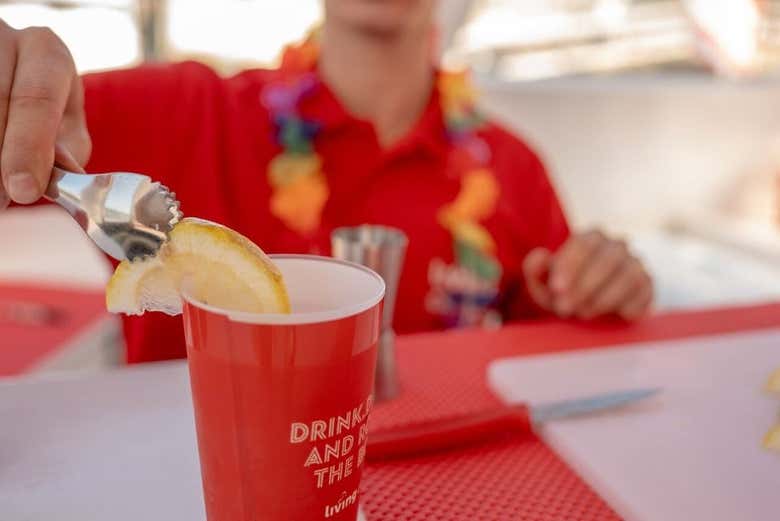 Fiesta en barco por el río Duero