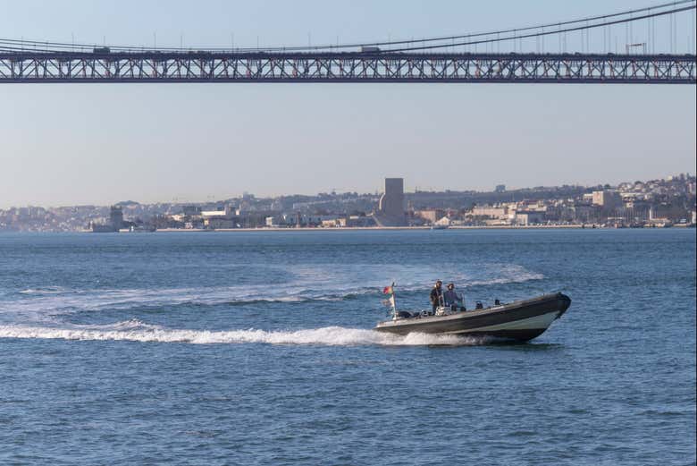 Avistamiento de delfines en Lisboa