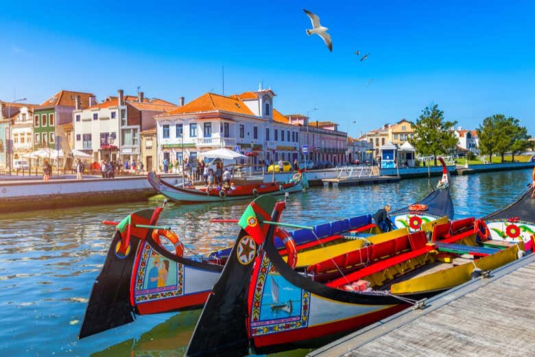 Excursión a Aveiro y Costa Nova + Paseo en barco