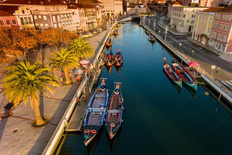 Excursión a Aveiro y Costa Nova + Paseo en barco