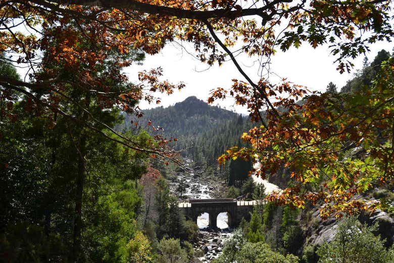 Excursión al Parque Nacional Peneda-Gerês