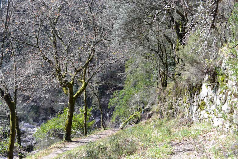 Excursión al Parque Nacional Peneda-Gerês