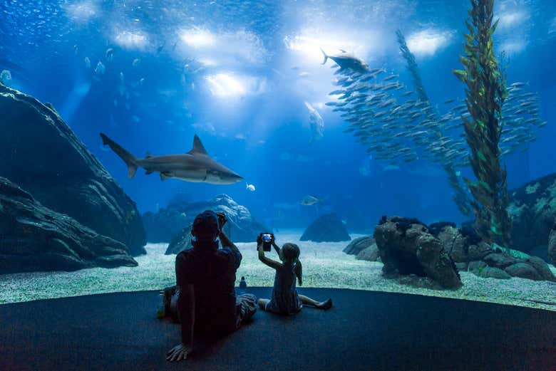 Entrada al Oceanario de Lisboa