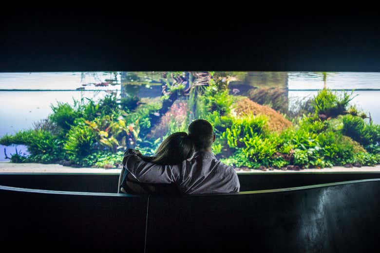 Entrada al Oceanario de Lisboa