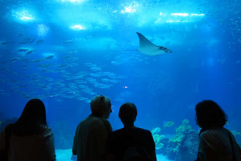 Entrada al Oceanario de Lisboa