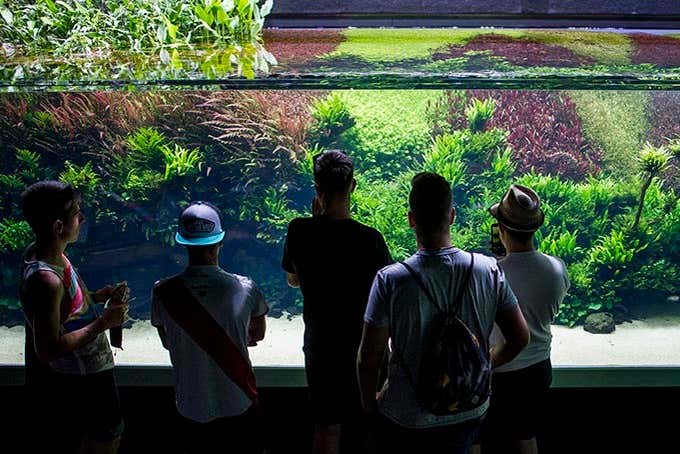 Entrada al Oceanario de Lisboa