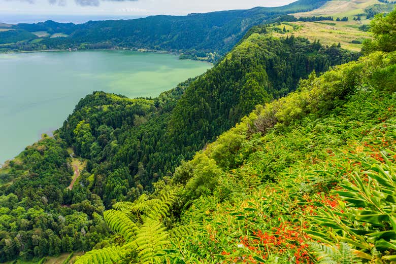 Tour en bicicleta por Lagoa das Furnas