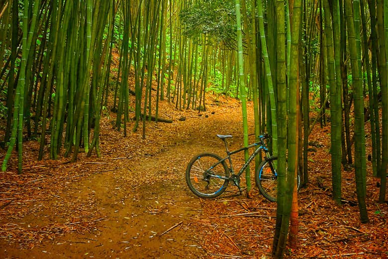 Tour en bicicleta por Lagoa das Furnas