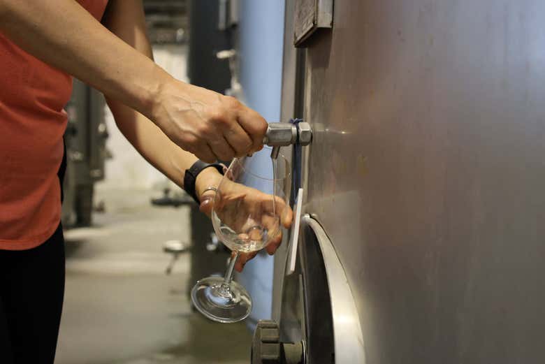 Excursión a Évora y sus bodegas