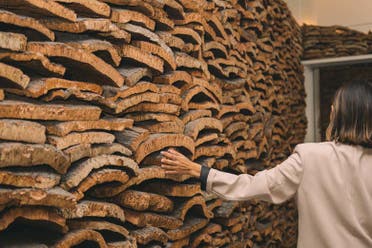 Entrada a un museo de WOW Porto