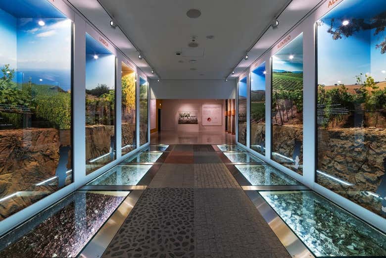 Entrada a un museo de WOW Porto