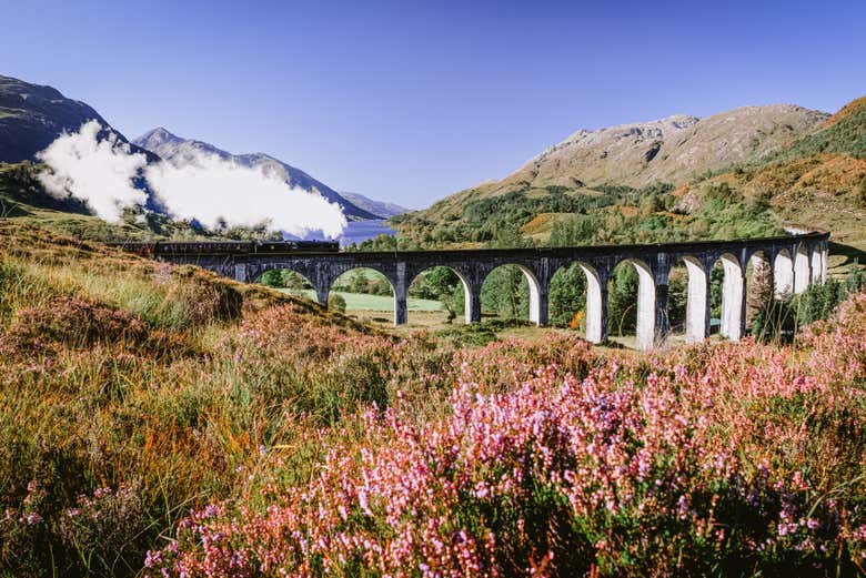 Tren de Harry Potter